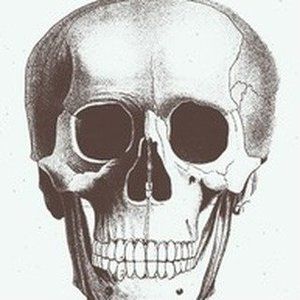 Meet your Posher, Philip